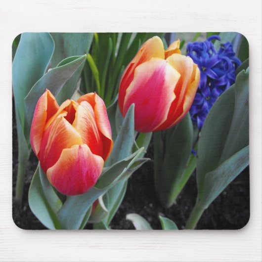 Tulip-A Flower of Love Muismat (Voorkant)