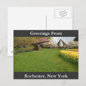 Tulip Beds & Cannon Briefkaart (Voorkant / Achterkant)