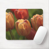 Tulip Blossom Muismat (Met muis)