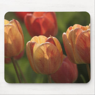 Tulip Blossom Muismat