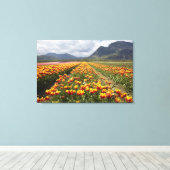 Tulip Boerderij nabij Agassiz, Brits-Columbia, Canvas Afdruk (Insitu (Houten vloer))