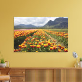 Tulip Boerderij nabij Agassiz, Brits-Columbia, Canvas Afdruk (Insitu (Woonkamer))