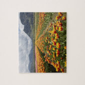 Tulip Boerderij nabij Agassiz, Brits-Columbia, Legpuzzel (Verticaal)