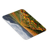 Tulip Boerderij nabij Agassiz, Brits-Columbia, Magneet (Rechterzijde)