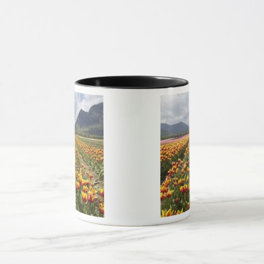 Tulip Boerderij nabij Agassiz, Brits-Columbia, Mok (Midden)