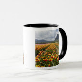 Tulip Boerderij nabij Agassiz, Brits-Columbia, Mok (Voorkant rechts)