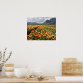 Tulip Boerderij nabij Agassiz, Brits-Columbia, Poster (Keuken)