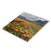 Tulip Boerderij nabij Agassiz, Brits-Columbia, Tegeltje (Zijkant)