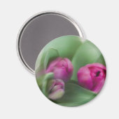 Tulip Bouquet Magneet (Voorkant / Achterkant)