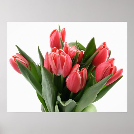 Tulip Bouquet Poster (Voorkant)