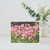 Tulip Briefkaart (Staand voorkant)