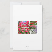 Tulip Briefpapier (Achterkant)