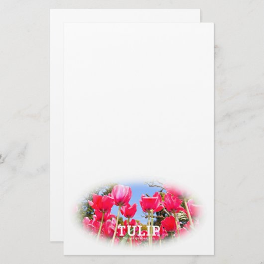 Tulip Briefpapier (Voorkant / Achterkant)