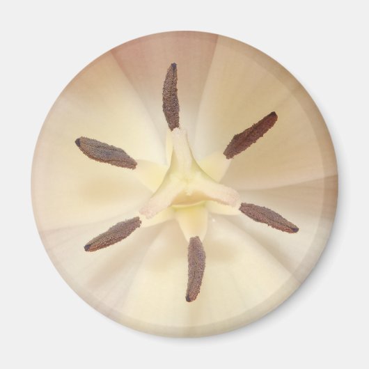 Tulip Center Magneet (Voorkant)