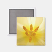 Tulip Center Magneet (Voorkant / Achterkant)