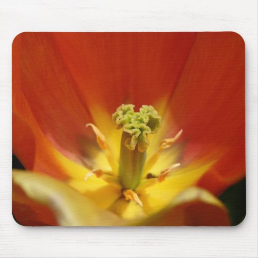 Tulip Center Muismat (Voorkant)