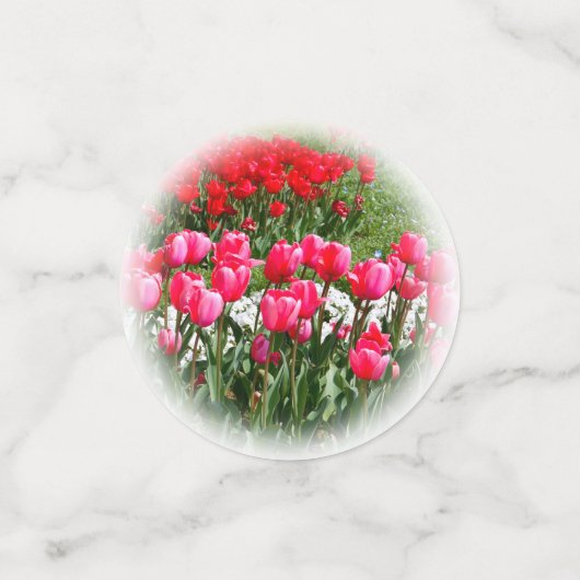 Tulip Confetti (Kleine voorkant)