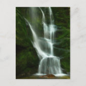 Tulip Creek Herfsten, Castlegar BC Briefkaart (Voorkant)