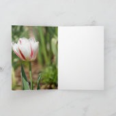 Tulip Delight Kaart (Binnen)