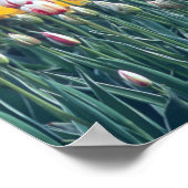 Tulip display garden in the Skrespvalley, Poster (Hoek)