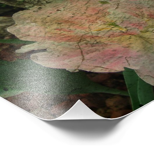 Tulip en Cherub Foto Afdruk (Hoek)