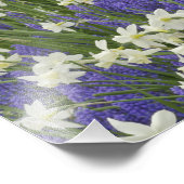 Tulip en daffodil tuinen, Keukenhof Gardens Foto Afdruk (Hoek)