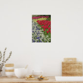 Tulip en daffodil tuinen, Keukenhof Gardens Poster (Keuken)
