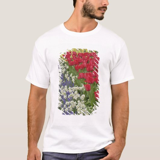 Tulip en daffodil tuinen, Keukenhof Gardens T-shirt (Voorkant)