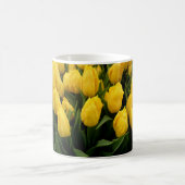 Tulip Festival - 27 Mokken (Center)