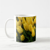 Tulip Festival - 27 Mokken (Links)