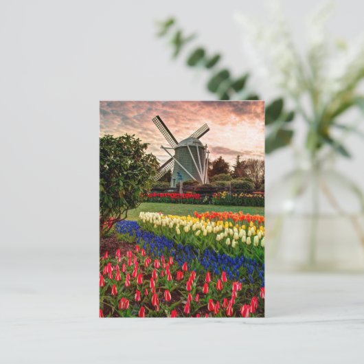 Tulip Festival Briefkaart (Staand voorkant)