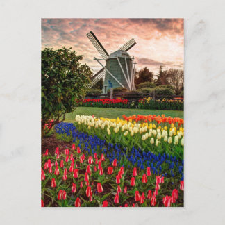 Tulip Festival Briefkaart