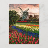 Tulip Festival Briefkaart (Voorkant)