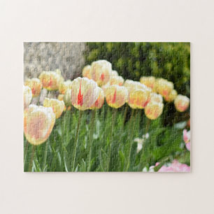 Tulip Festival Flower Natuur Legpuzzel
