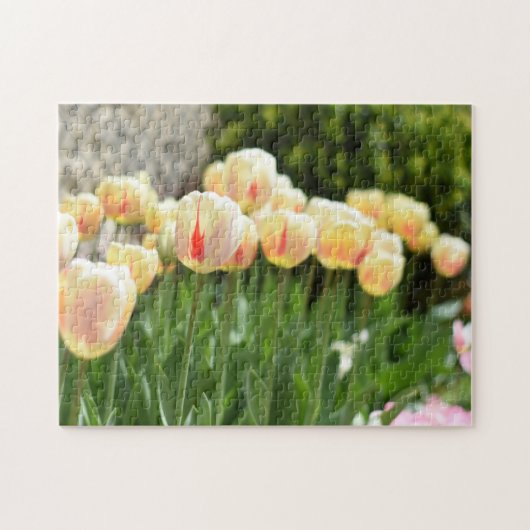 Tulip Festival Flower Natuur Legpuzzel (Horizontaal)