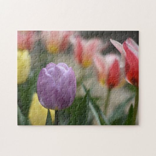 Tulip Festival Flower Natuur Legpuzzel (Horizontaal)