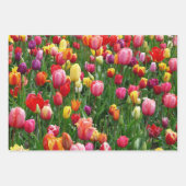 Tulip Festival Inpakpapier Vel (Voorkant)