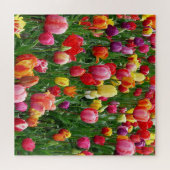 Tulip Festival Jigzaag Puzzle Legpuzzel (Horizontaal)