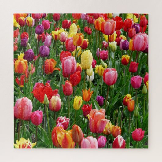 Tulip Festival Jigzaag Puzzle Legpuzzel (Verticaal)