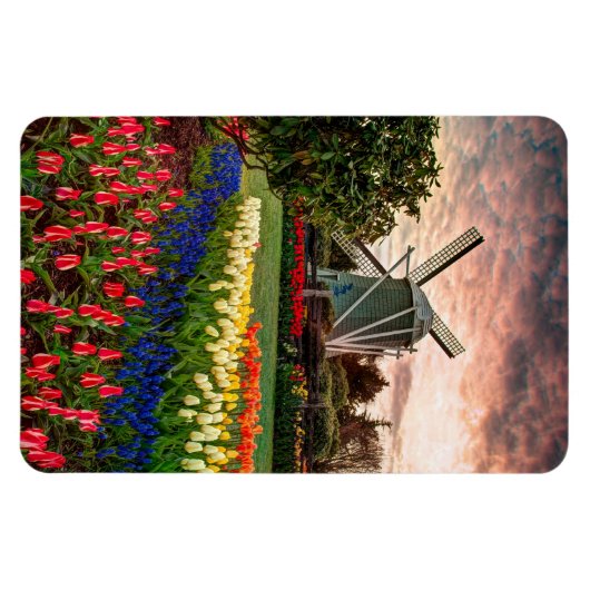 Tulip Festival Magneet (Horizontaal)