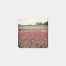 Tulip Festival Post schrijft