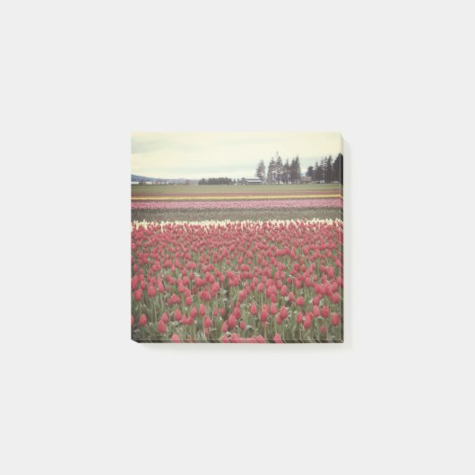 Tulip Festival Post schrijft Post-it® Notes (Voorkant)