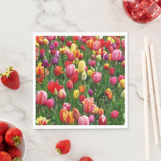 Tulip Festival Servet (Insitu)