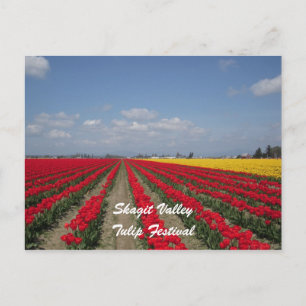 Tulip Festival, Skagit Valley, Tulip Festival Briefkaart
