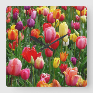 Tulip Festival Vierkante Klok
