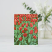 Tulip field blooms in the spring. briefkaart (Staand voorkant)