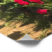 Tulip Field met Kite, Oregon Poster (Hoek)