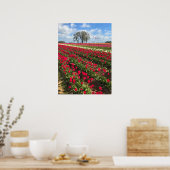 Tulip Field met Kite, Oregon Poster (Keuken)