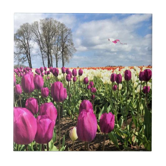 Tulip Field met Kite, Oregon Tegeltje (Voorkant)