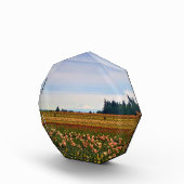 Tulip Field met Mt. Hood, Oregon Fotoblokken (Rechts)